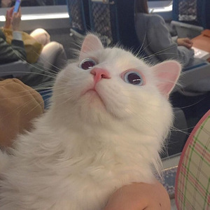 搓澡工硬了Gay2022
